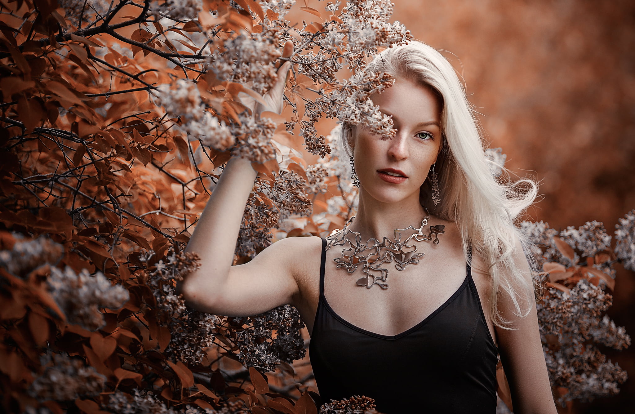 Nikama Ranka panta, kiillotettu - Image 4